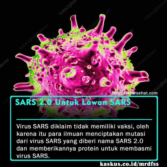 5 Virus Yang Diciptakan Untuk Membasmi Virus