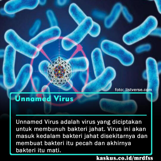 5 Virus Yang Diciptakan Untuk Membasmi Virus