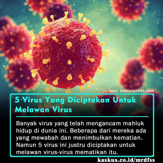 5 Virus Yang Diciptakan Untuk Membasmi Virus