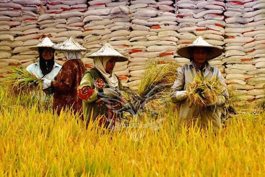 Tolong Pak Jokowi Embargolah Indonesia