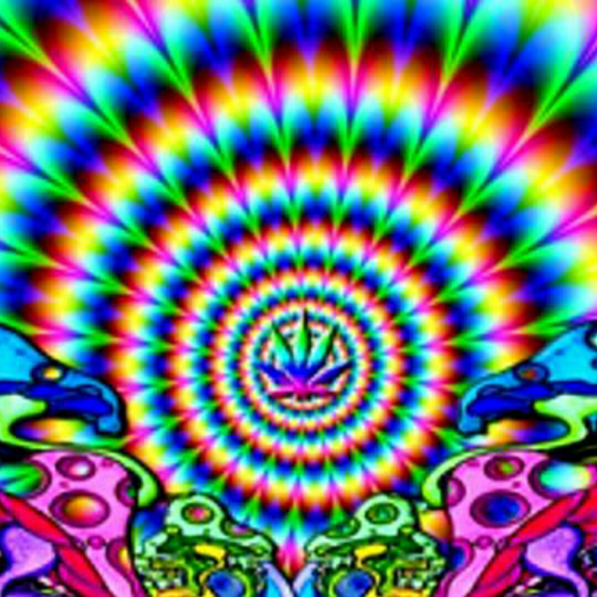 Cuitan Kocak Tentang Magic Mushroom, Jamur Setara Narkotika.