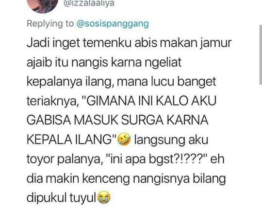Cuitan Kocak Tentang Magic Mushroom, Jamur Setara Narkotika.