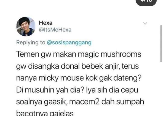 Cuitan Kocak Tentang Magic Mushroom, Jamur Setara Narkotika.