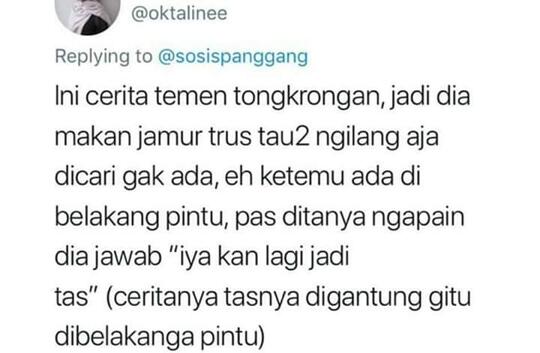 Cuitan Kocak Tentang Magic Mushroom, Jamur Setara Narkotika.