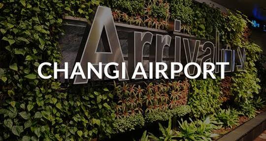 Bandara Komodo, Di Kelola Changi Air Port! Bisa Jadi Setara Singapura Ga Ya?