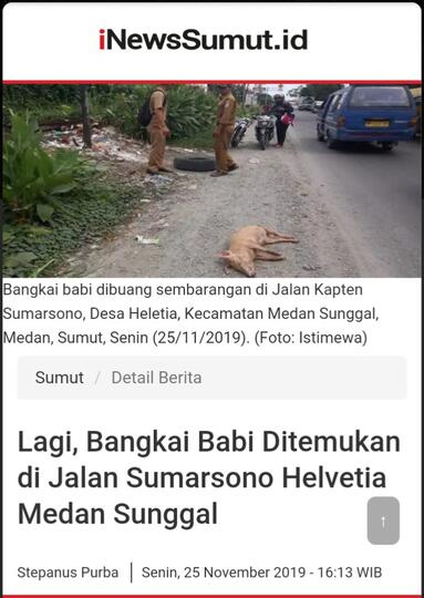 Pilih Mana? Save Harimau Sumatera atau Save Babi?