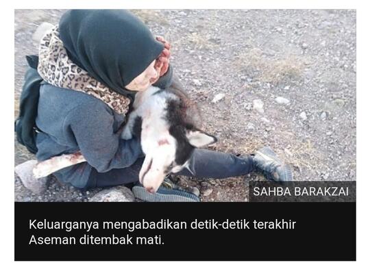 Mereka Menembak Mati Anjing Peliharaan Saya Karena Saya Perempuan
