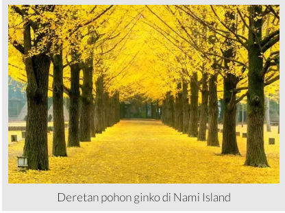 Beberapa Hal Menarik dari Gunung Hallasan di Pulau Jeju