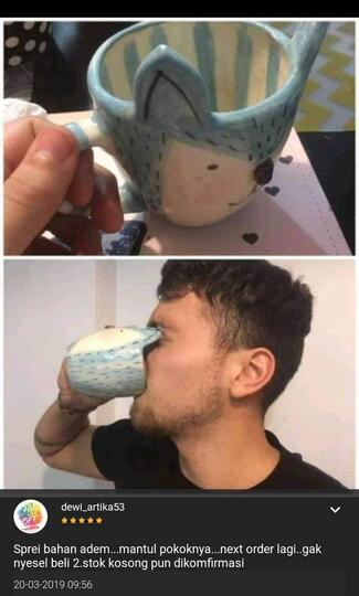 12 Ulasan Online Shop Paling Kocak yang Bikin Ketawa, Foto-fotonya Ngakak Banget