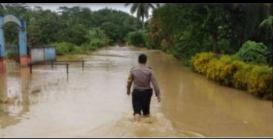 Kata Jokowi Calon Ibu Kota Baru Tidak Ada Banjir, Tapi Buktinya?