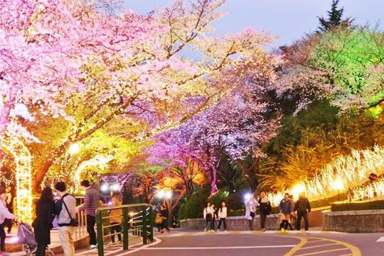 Traveling Low Budget? Nih Gan 5 Wisata Gratis Di Korea Selatan Yang Wajib Di Coba