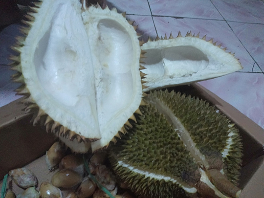Lezatnya Tumis Durian Muda, Agan Pernah Coba?