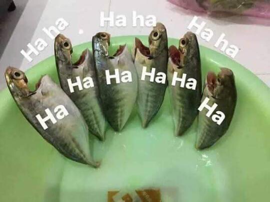 Jika Wanita Bisa Hamil Karena Renang Bareng, Kenapa Ya? Kepoin Yuk!