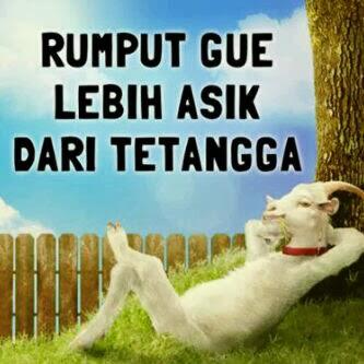 RUMPUT TETANGGA LEBIH HIJAU ??? - What Do You Think???