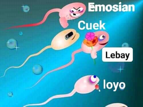 Meme-meme Lucu Berenang di Kolam Menyebabkan Kehamilan, Netizen Ngakak Jungkir Balik!