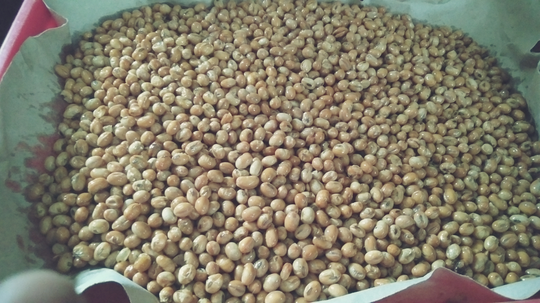 Kedelai Goreng Bikin Sendiri, Teman Setia Saat Asyik Sendiri dan Gak Sendiri