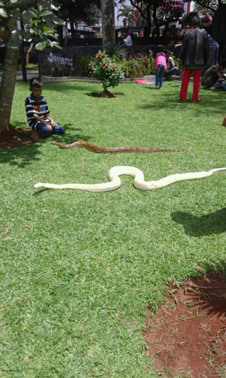 Saking Canggihnya Tempat Ramah Anak Di Tasik Pake Toilet 4G. Penasaran?