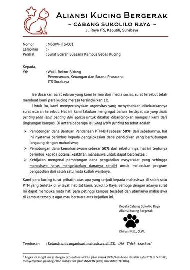 Viral! Kampus ini Larang Kucing Berkeliaran. Netizen: tidak punya hati