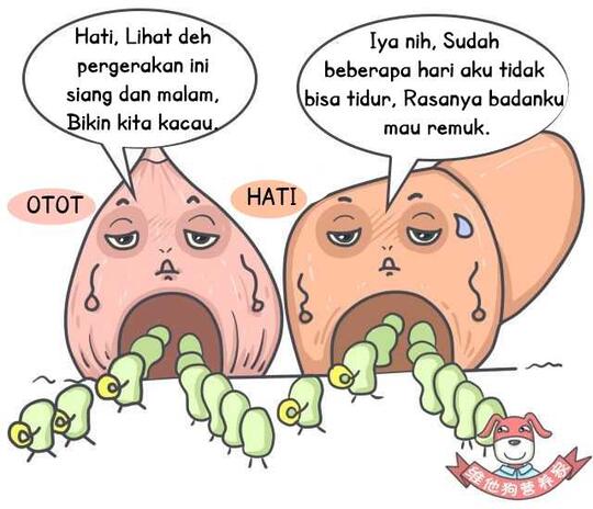 Apa itu Diet Atkins