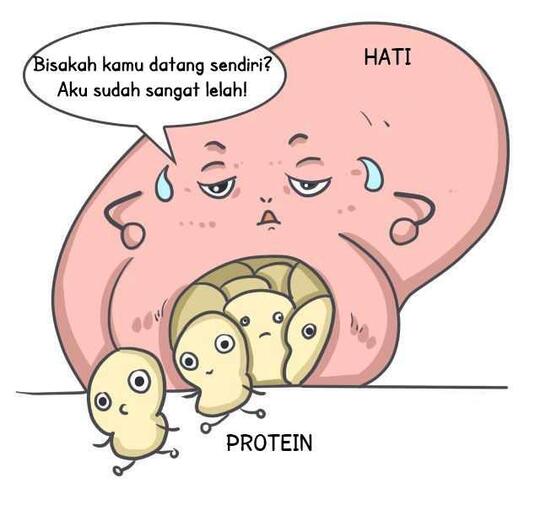 Apa itu Diet Atkins