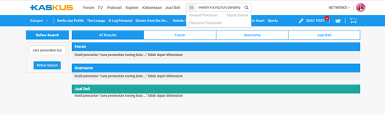 Cara Perawatan Kucing Bulu Panjang