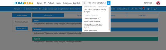 Tidak Semua Kucing Bulu Panjang Itu Angora