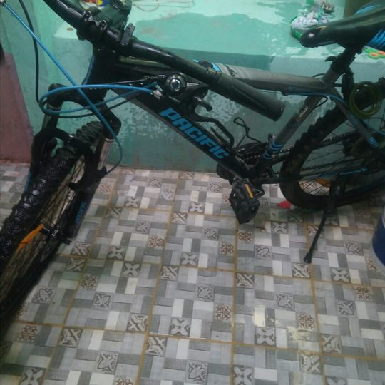 Aktivitas Masih Seperti Biasa, #mumpungdirumah Bersihkan Kebun Yuk!