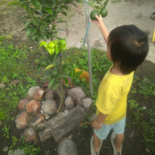Aktivitas Masih Seperti Biasa, #mumpungdirumah Bersihkan Kebun Yuk!