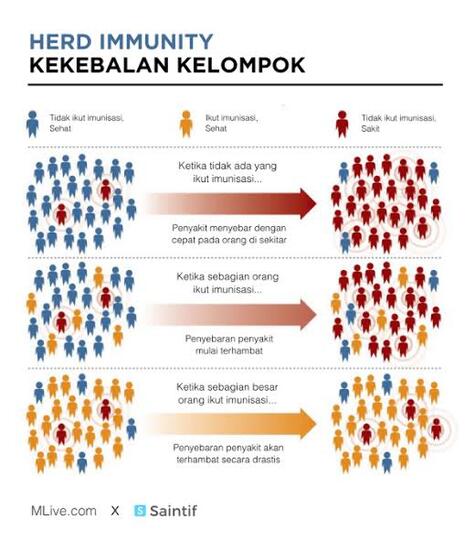 Untuk Sembuh Total Dari Virus Covid-19, Setujukah Indonesia Melakukan Herd Immunity