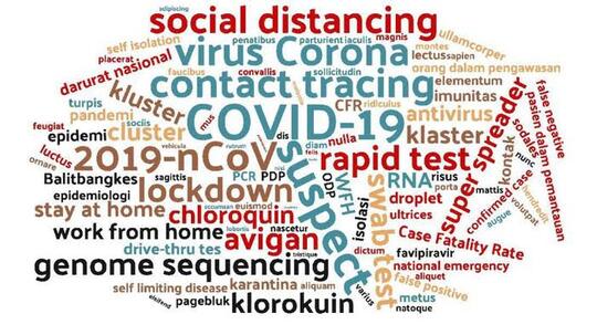 Untuk Sembuh Total Dari Virus Covid-19, Setujukah Indonesia Melakukan Herd Immunity