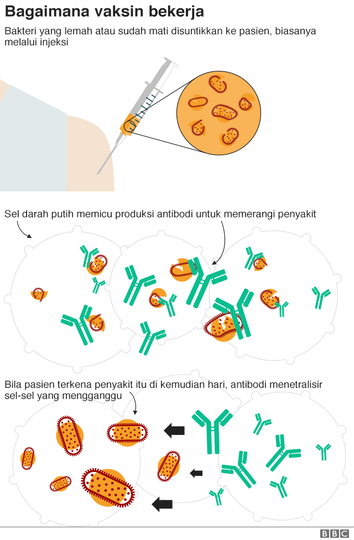 Susahnya Pembuatan Vaksin Covid-19, Dengerin Dulu Sejarah Pembuatan Vaksin