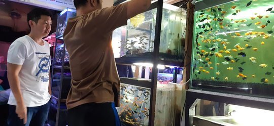 #mumpungdirumah Kenalin, Inilah Detok Virus Digital Bagi Kita Semua