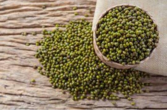 Tips dan trik cara merebus kacang hijau cepat lunak