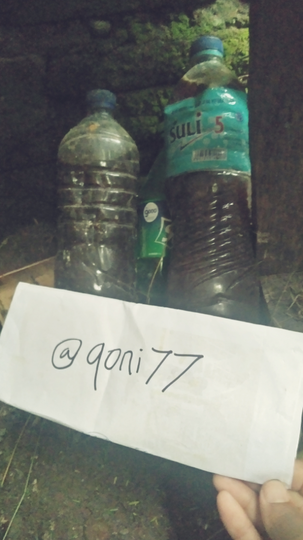 Melihara Kelinci? Murah, Aman, dan Air Kencingnya pun Jadi Uang Loh, Kok Bisa?