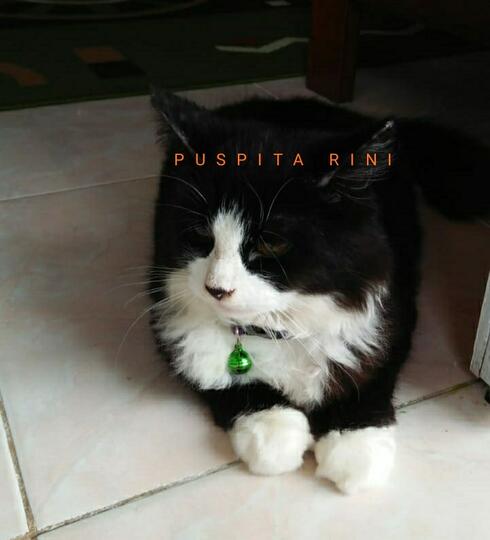 Harus Social Distancing? Tidak Masalah. Saat Menatap Mata & Wajahnya Bikin Happy