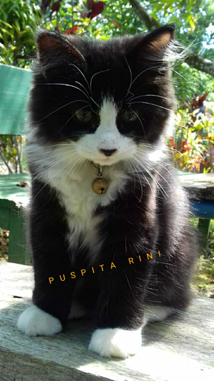 Harus Social Distancing? Tidak Masalah. Saat Menatap Mata & Wajahnya Bikin Happy