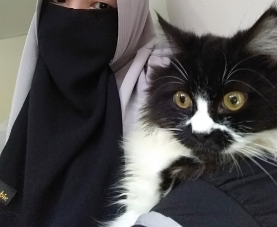 🐱My Cute Kitty🐱