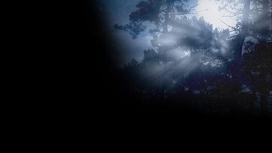 TWG BIG ### - The Dark Realm