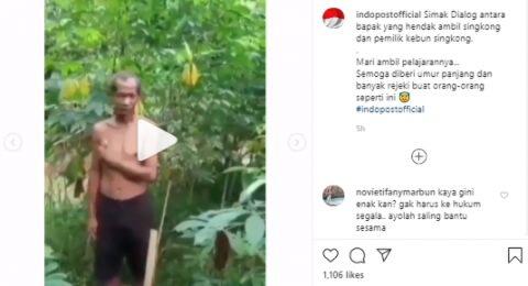 Pergoki Kakek-Kakek Curi Singkongnya, Pemilik: Ini Kebun Allah, Ambil Aja!
