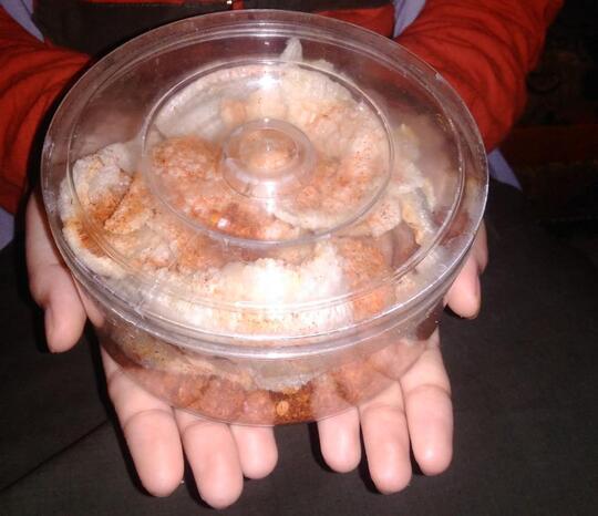 Nasi Sisa Sahur Jangan Dibuang, Mending Dibuat Kerupuk Sego, untuk Cemilan Lebaran!