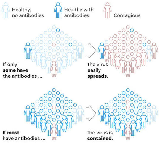 Ramai Dibicarakan Apa itu Herd Immunity?