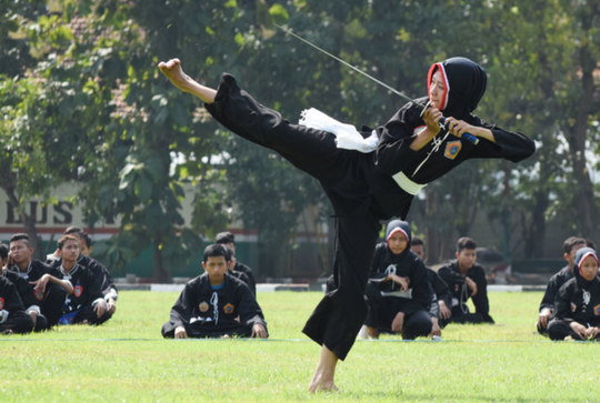 7 Macam Olahraga Bela Diri Asal Indonesia, Sudah Ada Sejak Zaman Belanda
