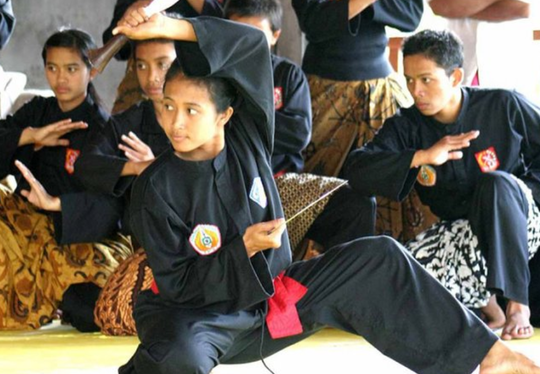 7 Macam Olahraga Bela Diri Asal Indonesia, Sudah Ada Sejak Zaman Belanda