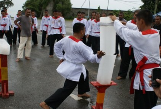 7 Macam Olahraga Bela Diri Asal Indonesia, Sudah Ada Sejak Zaman Belanda