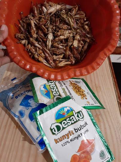 Serangga Ini Mengalahkan Harga Daging. Jangan Kaget Dengan Rasanya, Sangat Nikmat