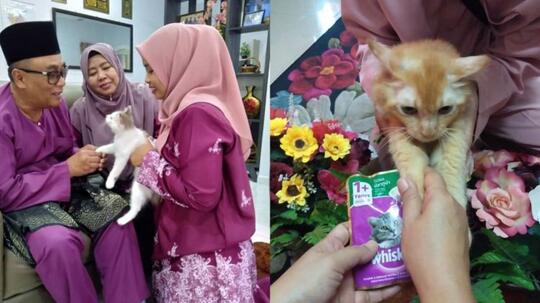 Kucing Aja Minta Maaf Pas Lebaran, Masa Kamu Nggak?