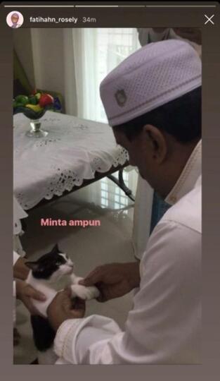 Kucing Aja Minta Maaf Pas Lebaran, Masa Kamu Nggak?