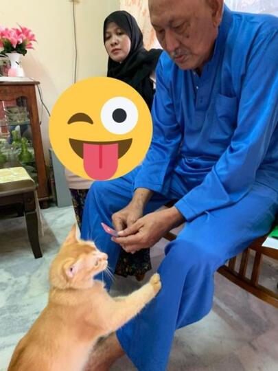 Kucing Aja Minta Maaf Pas Lebaran, Masa Kamu Nggak?