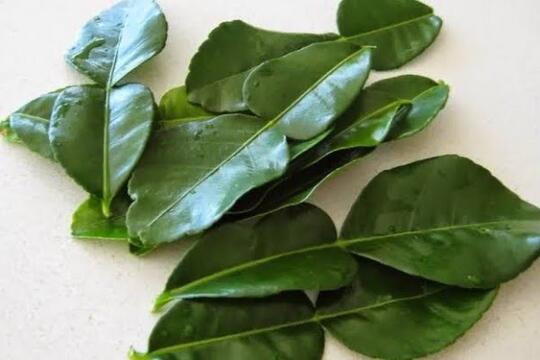 Aneka Rempah-rempah, Sebelum Masak Kenali Dulu Bumbu-Bumbunya