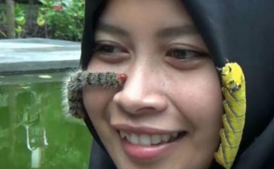 Hewan Yang Cantik, Tapi Ditakuti Sebagian Orang